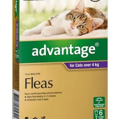 Advantage For Large Cats (Over 4kg) – 6 Pack Med One Advantage For Large Cats (Over 4kg) - 6 Pack