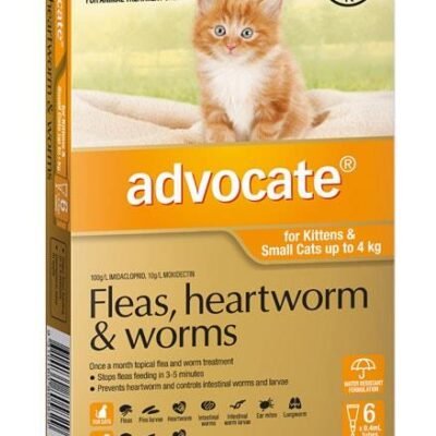 Advocate For Kittens And Small Cats (Up To 4kg) – 6 Pack Med One Advocate For Kittens And Small Cats (Up To 4kg) - 6 Pack